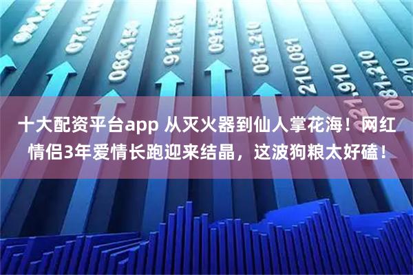 十大配资平台app 从灭火器到仙人掌花海！网红情侣3年爱情长跑迎来结晶，这波狗粮太好磕！
